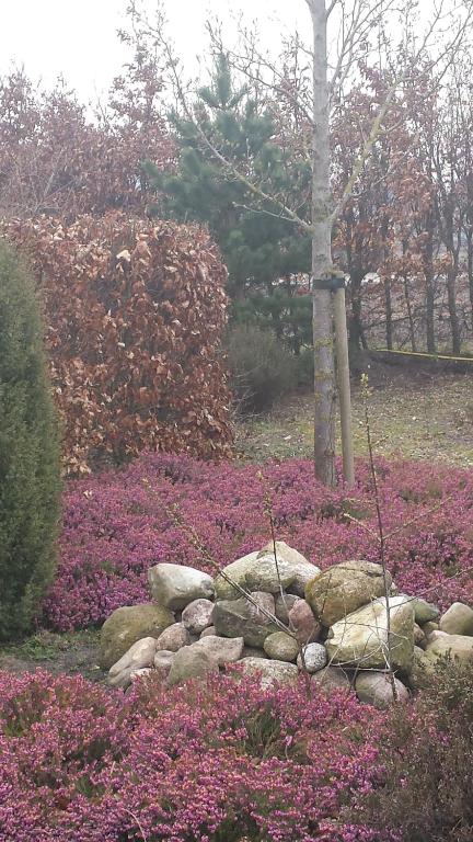 Hotel t Middelkamp room 3