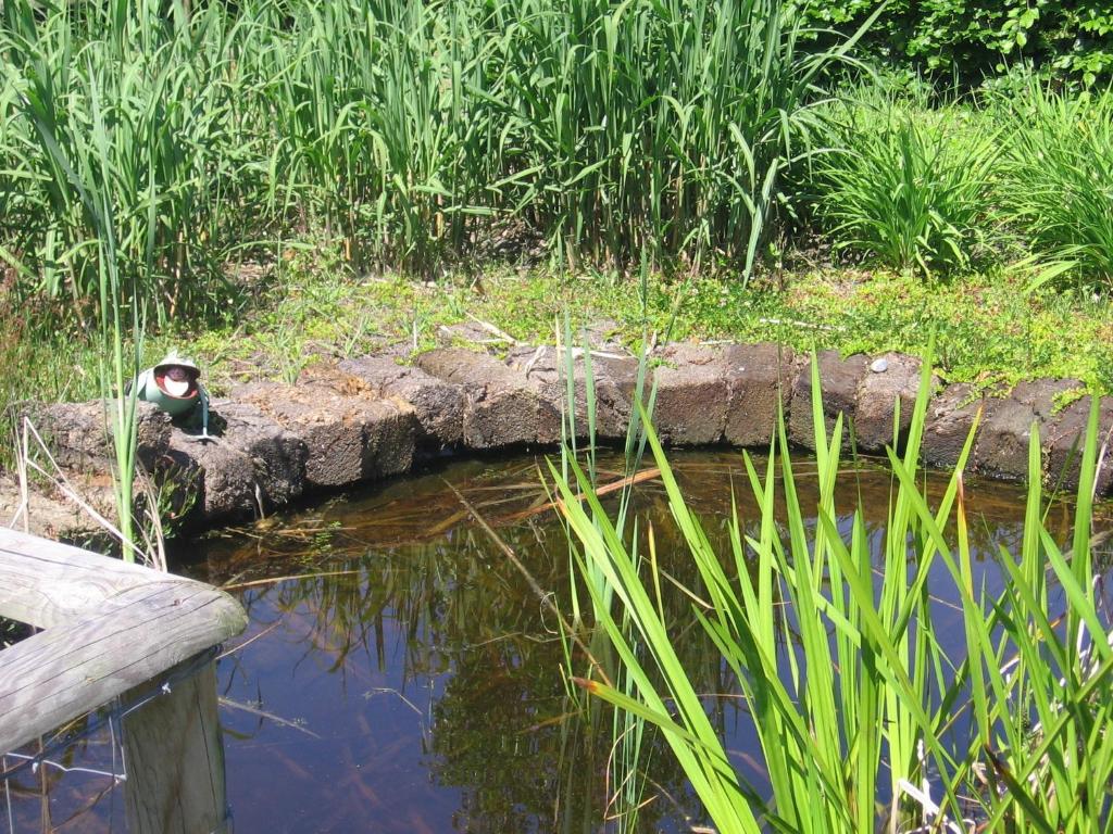 Hotel t Middelkamp room 5